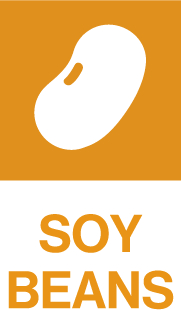 SOYBEANS