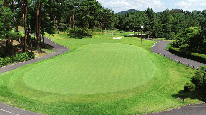 putting and approach area